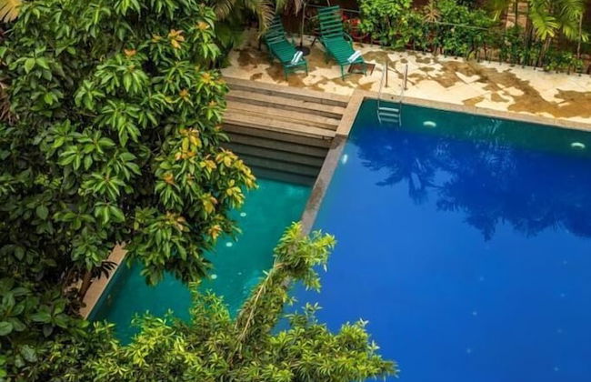 Serenity by The Origami Collection - Foto 1