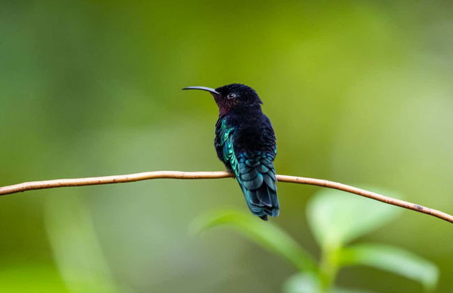 Entrada al parque de aventura Rainforest Santa Lucía - Foto 5