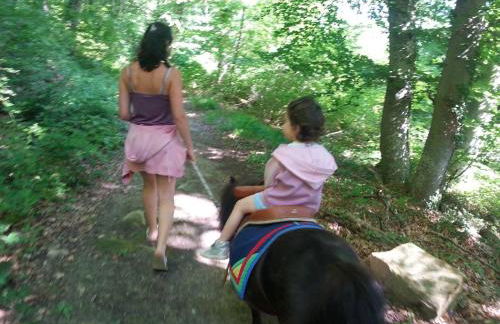 Chalets du Bois de Vache - Foto 49