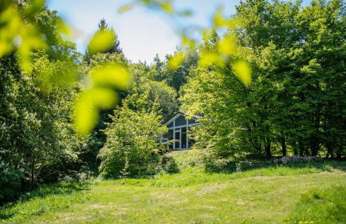 4 Personen mit Sauna F2H6 - Foto 11