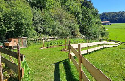 Landhaus Brockhaus - Foto 58