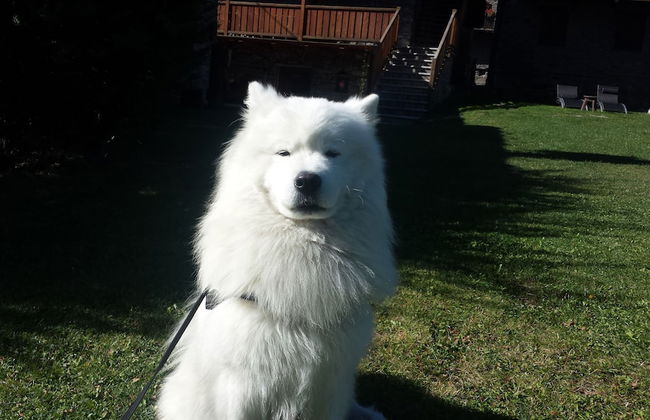 Residence Le Petit Coeur - Foto 66