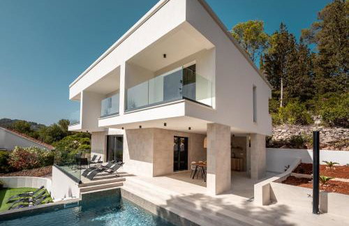 My seagull - Photo 13