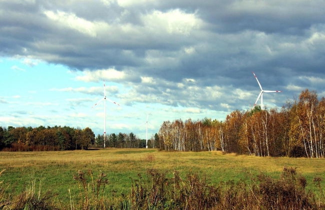 Ferienhaus am Partwitzer See, Elsterheide - Foto 11