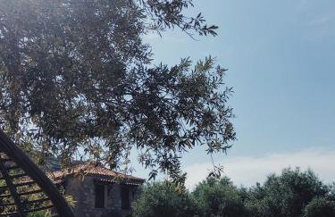 Villa Gaia - Foto 37