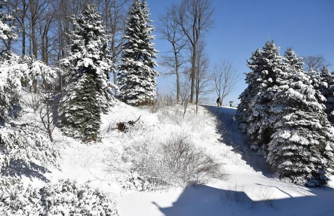 Seven Springs Stoneridge 3 BR Condo, Private Deck by RedAwning - Foto 28