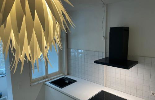 ZwergDackelAdlerHirsch - Foto 11