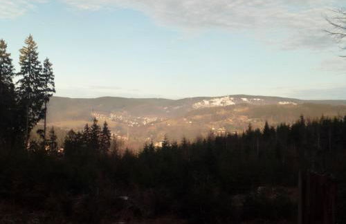 Ferienwohnung Döhlerwald - Photo 24