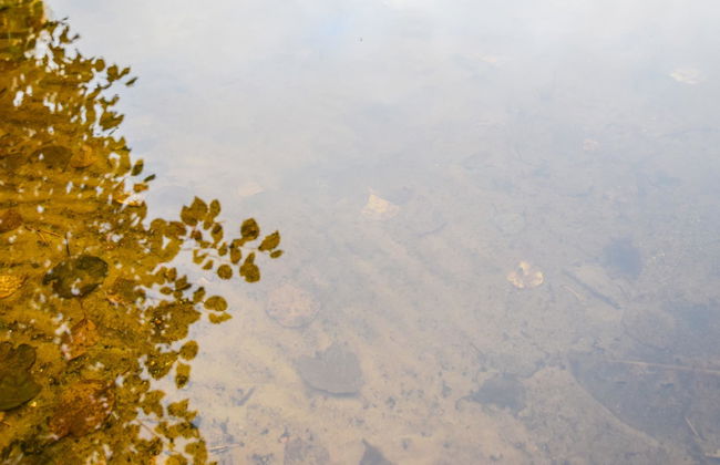 2 bedroom House in Mikkeli with sauna - Photo 7