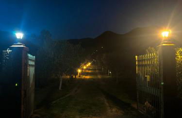 L'Uliveto HOLIDAY HOUSE - Photo 54