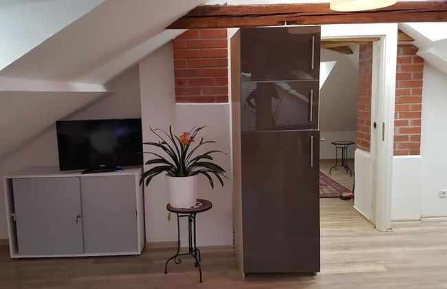 Dresdner-Tag Hermann - Foto 9