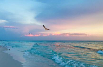 Terrace at Pelican Beach 0705 2 Bedroom Condo by Pelican Beach Management - Foto 78