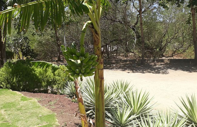 Hacienda Iguana Beach and Golf Resort - Foto 43