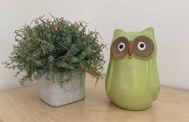 Haag Zimmervermietung - Foto 52