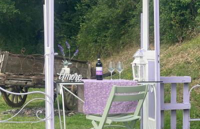 La lavanda di Poppi-mini appartamento - Foto 57