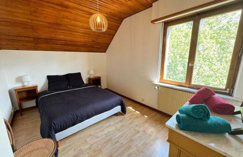 Insel Paradise - Foto 32