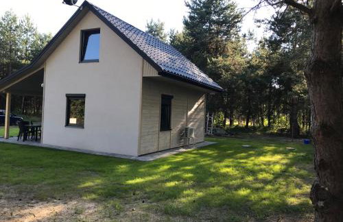 Leśny Domek - Foto 10