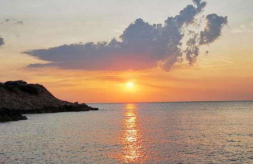 Lou Pauseto - Foto 25