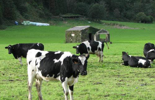 Casa da Tia Luísa - Foto 58