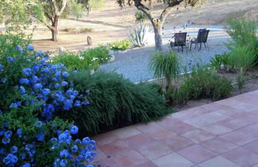 Monte Novo da Sobreira, rust en ruimte in zuid Alentejo - Foto 11