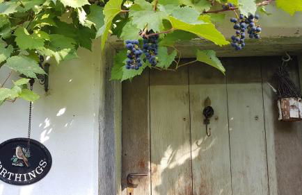 Ferienwohnung 1880 - Foto 35