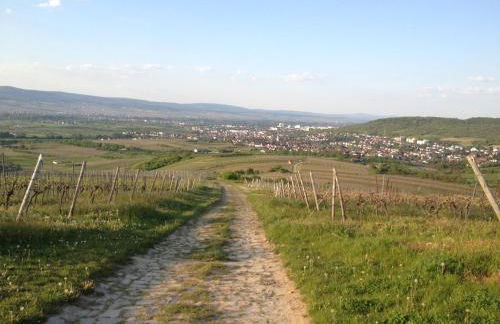 Ferienwohnungen In de goldisch Luft - Foto 73