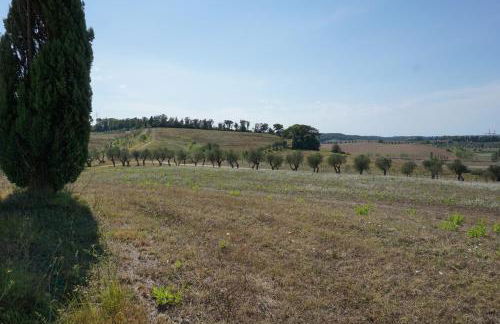 Agriturismo Cheloni - Foto 70