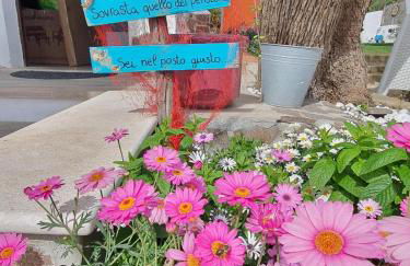 SweetHouse Pula - Foto 33