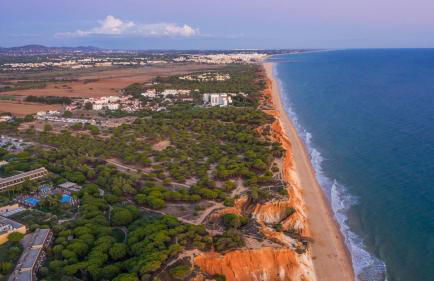 Pine Sun Park Т1 apartment Falesia beach - Foto 23