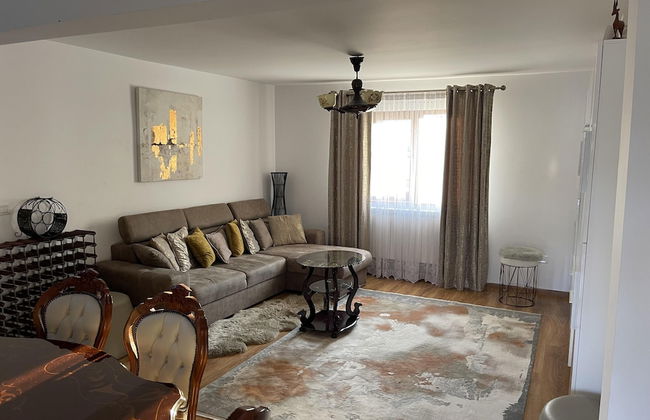 Bucovina-mountainhouse-5br-fireplace-hottub-wifi - Foto 9