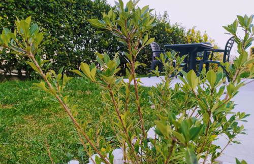 Residence Gonda&Giuliano - Photo 64