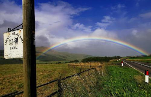 Glen Bay - 2 Bed Lodge on Friendly Farm Stay with Private Hot Tub - Foto 58
