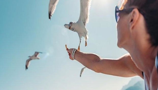 Cruzeiro pela Lagoa Azul de Halkidiki com Almoço - Foto 3