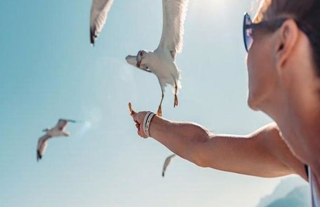 Halkidiki Blaue Lagune Kreuzfahrt mit Mittagessen - Foto 3