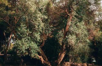 I giardini di Santomaj - Foto 26