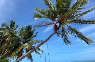 Casa Maroka - Foto 8