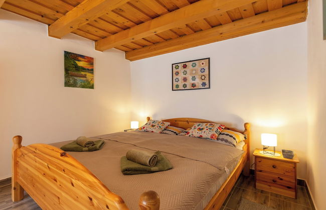 The Bird of Happiness-heaven for Dogs - Foto 3