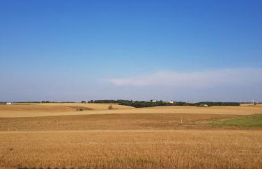 Coluni Sport & Resort srl - Foto 18