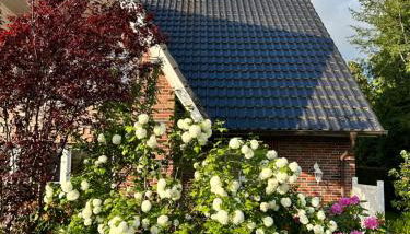 lóuf - Foto 4, Garden