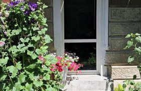 Przy pałacu - Foto 3