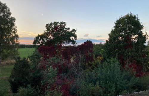 Gästehaus Lauerwald - Foto 19