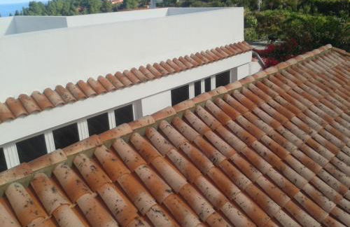 Finca las Palmeras - Foto 20