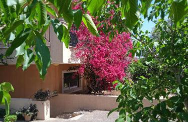 Paulina's Little House - Foto 17