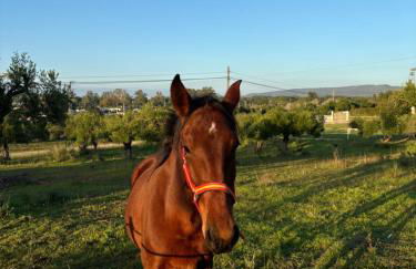 bungalow entre mer et montagne - Foto 52