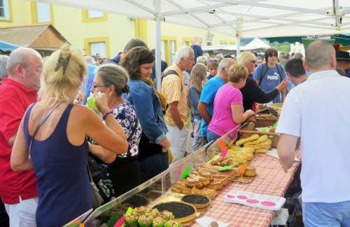 Les Charmois - Spa possible sur un autre site - Foto 13