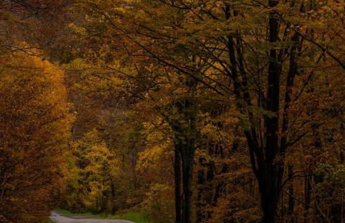 Il Casalino - Nido nel Chianti - Foto 10