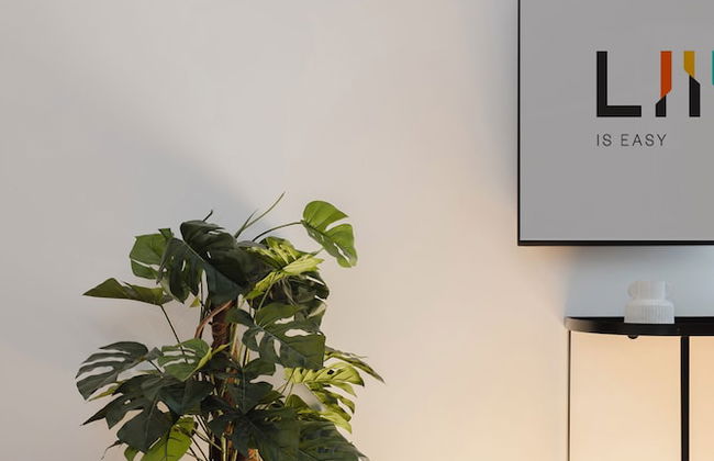 Liiiving in Gaia - THE WINE SIDE XV - Photo 12