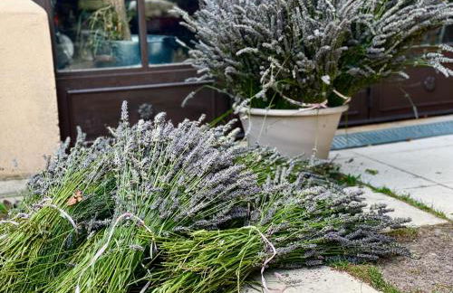 Mas de la Sacristière - Photo 13