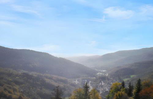 Appartement charmant à Plancher-les-Mines 40 m² avec jardin - Foto 9