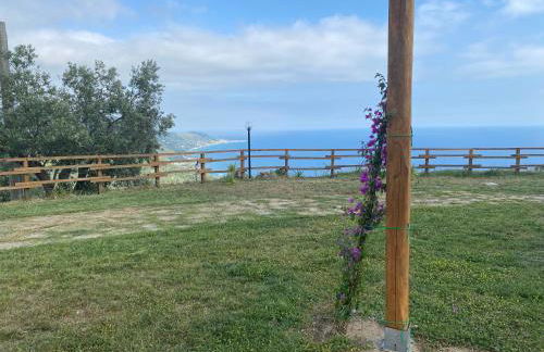 Tenuta Belvedere Cilento - Foto 24